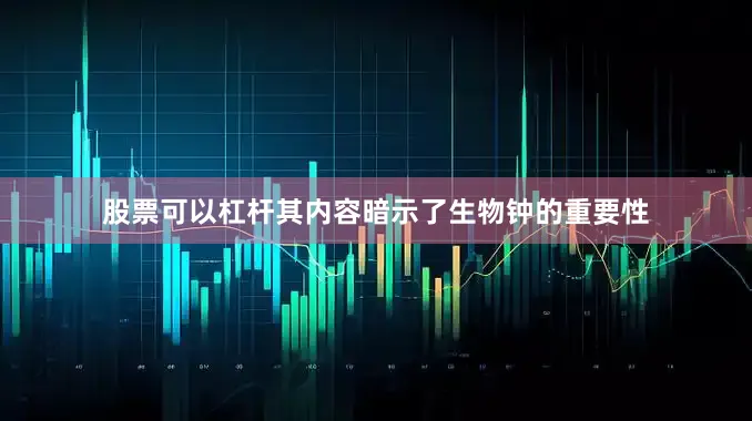 股票可以杠杆其内容暗示了生物钟的重要性