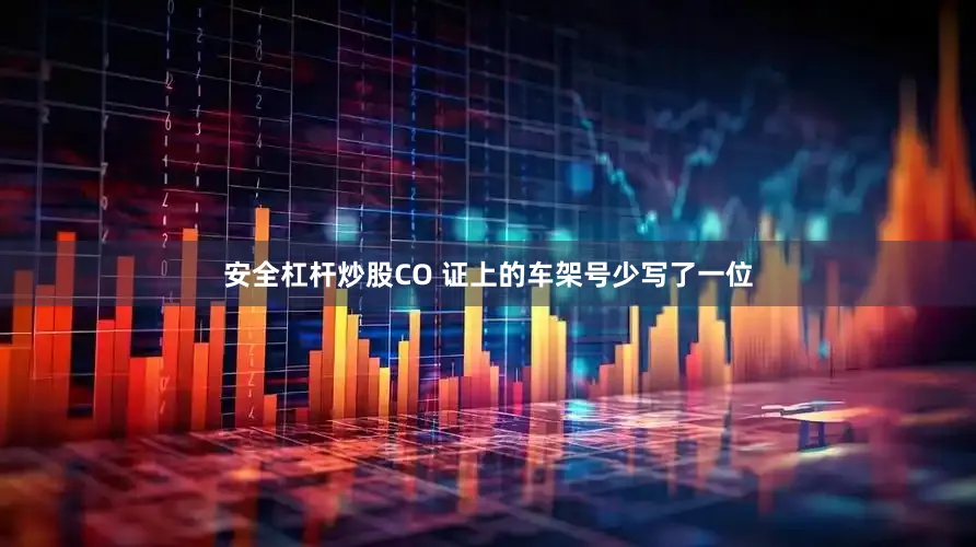 安全杠杆炒股CO 证上的车架号少写了一位
