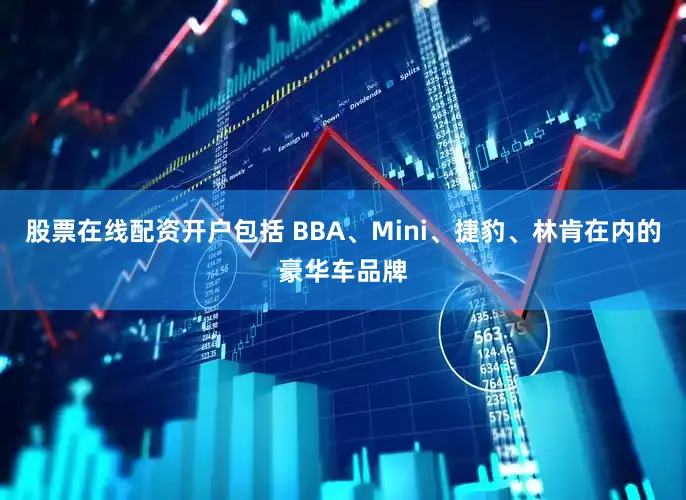 股票在线配资开户包括 BBA、Mini、捷豹、林肯在内的豪华车品牌