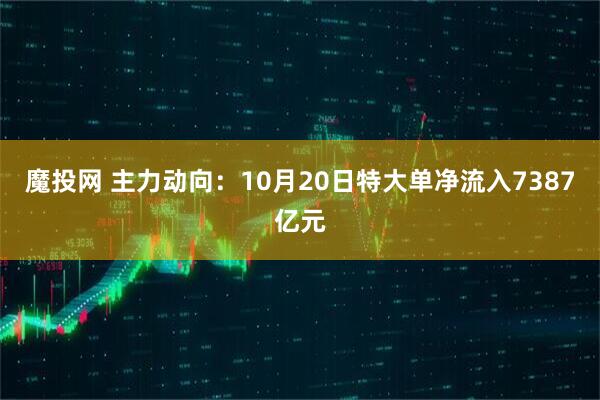 魔投网 主力动向：10月20日特大单净流入7387亿元