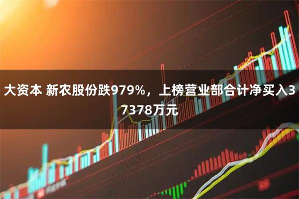 大资本 新农股份跌979%，上榜营业部合计净买入37378万元