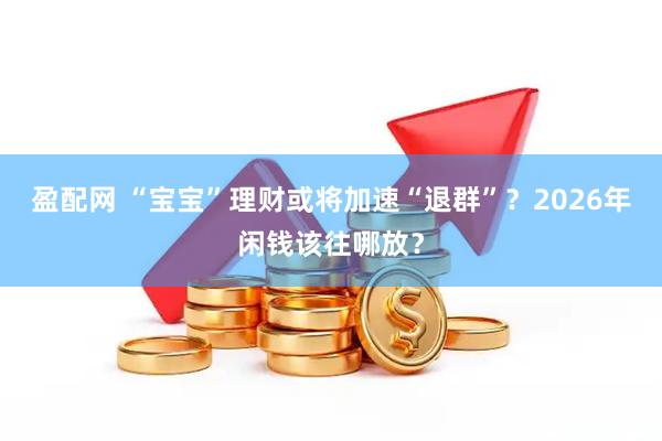 盈配网 “宝宝”理财或将加速“退群”？2026年闲钱该往哪放？