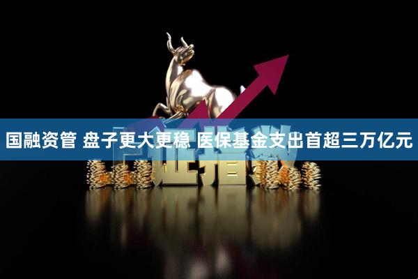 国融资管 盘子更大更稳 医保基金支出首超三万亿元