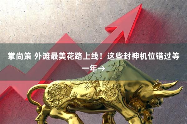 掌尚策 外滩最美花路上线！这些封神机位错过等一年→