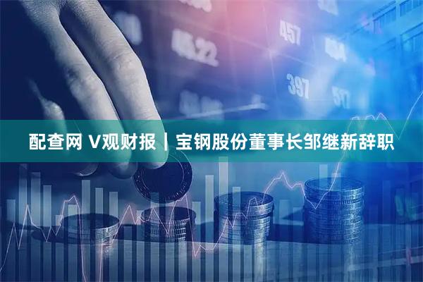 配查网 V观财报｜宝钢股份董事长邹继新辞职